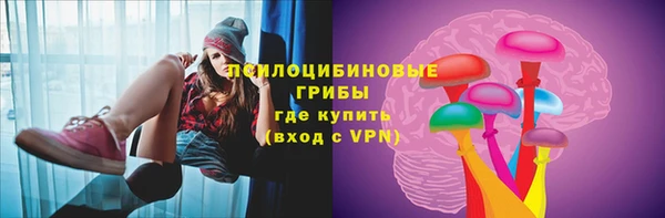 не бодяженный Арсеньев