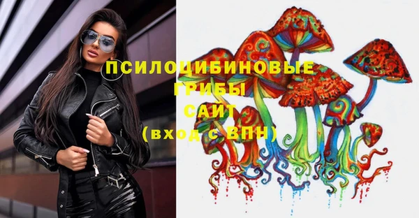 не бодяженный Арсеньев