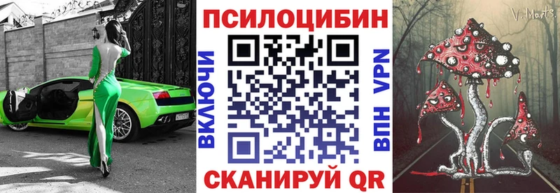 Купить закладки  Городец  Галлюциногенные грибы GOLDEN TEACHER 