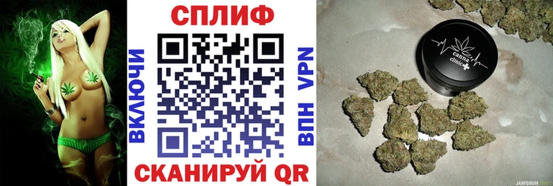 Купить  Городец  Каннабис VHQ 